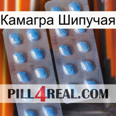 Камагра Шипучая viagra4